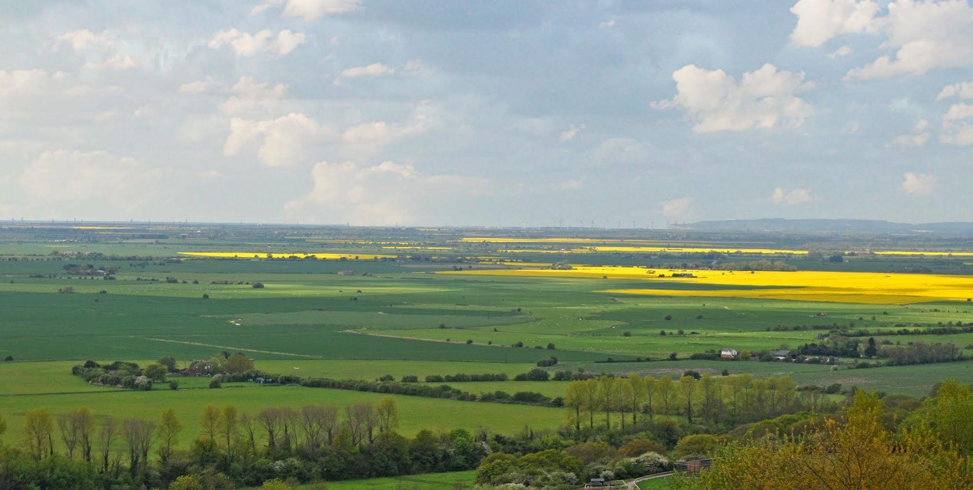 Bear Lodge - Glamping Lympne Dış mekan fotoğraf